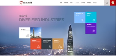 集团官网建设案例